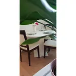 Apartman, 2+1 * Brodarica (Sibenik-Knin)
